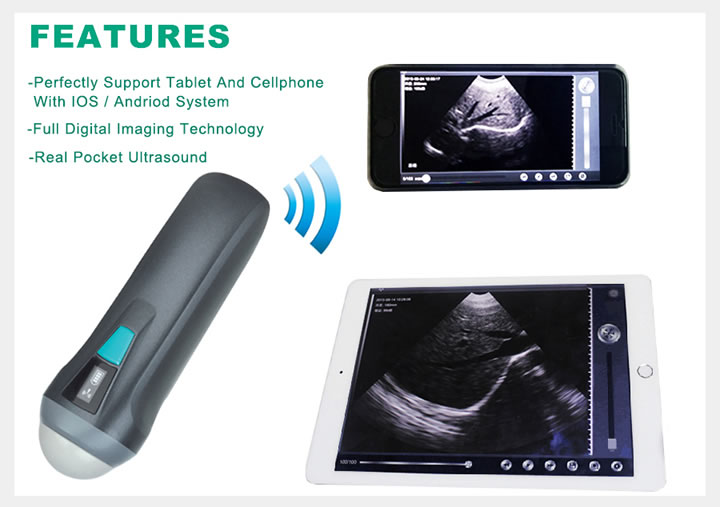 2023032558161565.jpg 1-1P205094029D3.jpg