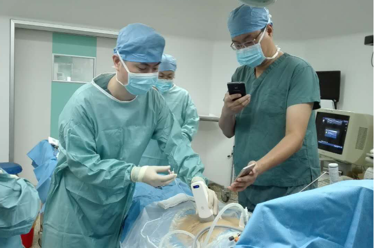 Handheld Ultrasound for Primary Care and Bedside Use