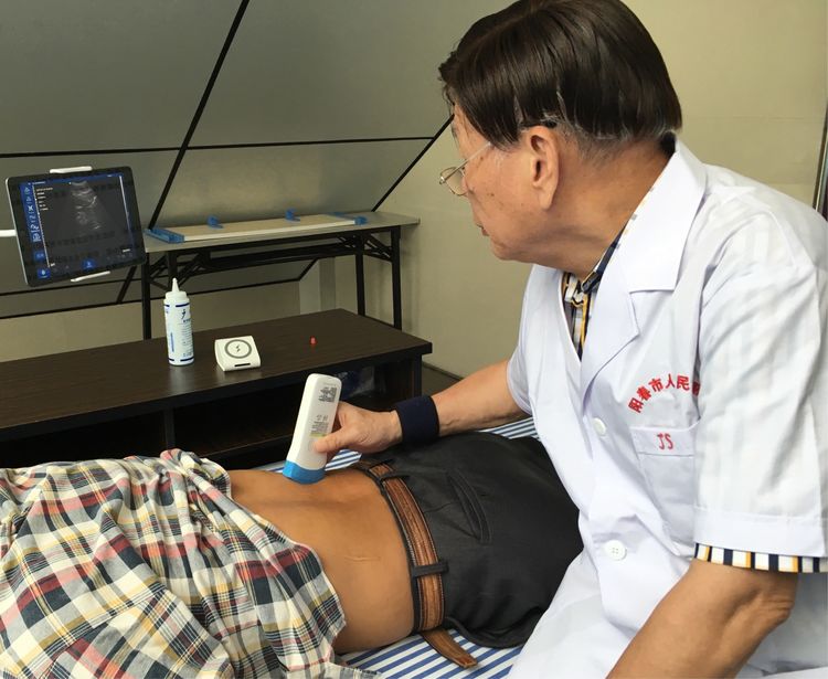 Application of Portable Imaging Technology by Handheld Ultrasound Manufacturers in Primary Care and 